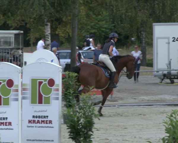 Reitturnier Olfen-Vinnum 2019