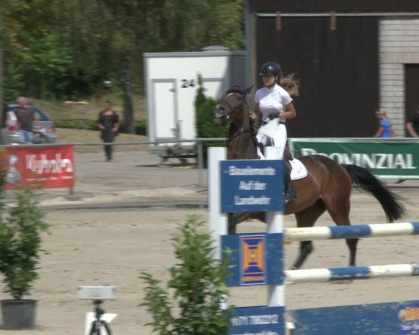 Reitturnier Olfen-Vinnum 2019
