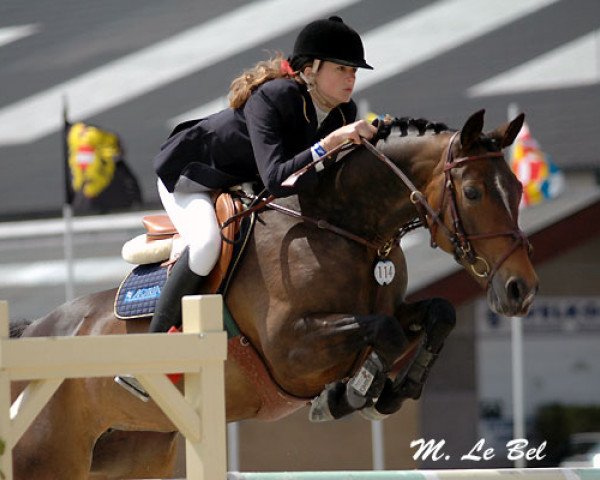 broodmare Sunny 93 (German Riding Pony, 1994, from Zandheuvel's Sunny Boy)