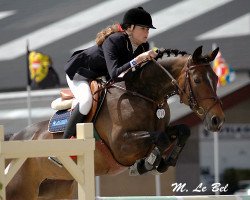 Zuchtstute Sunny 93 (Deutsches Reitpony, 1994, von Zandheuvel's Sunny Boy)