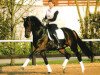 stallion Louis Ferdinand (Westphalian, 1999, from Laurentianer)