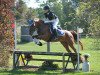 dressage horse Josi 32 (German Riding Pony, 2004, from Creston Dundee)