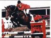 stallion Pastis du Mesnil (Selle Français, 1981, from Starter)