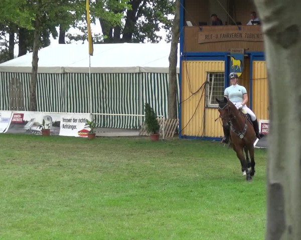 Reitturnier Zobbenitz 2019