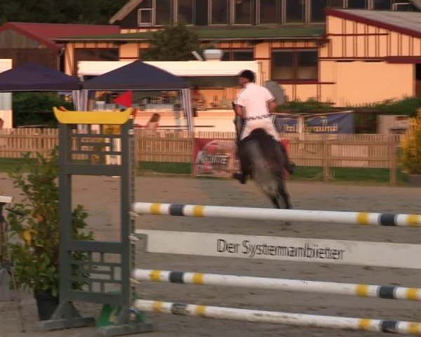 Reitturnier Schülp / Rendsburg 2019
