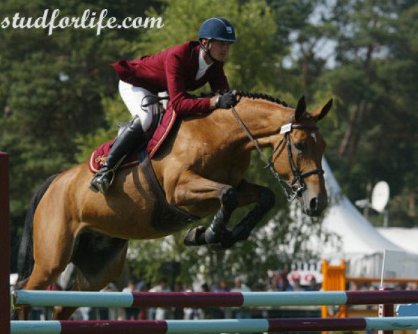 broodmare Lucie du Reverdy (Selle Français, 1999, from Fastourel du Cap)