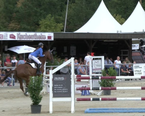 Reitturnier Olfen-Vinnum 2019