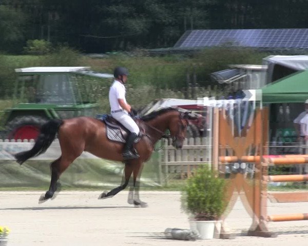 Reitturnier Schülp / Rendsburg 2019