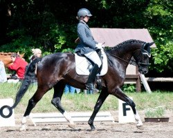 dressage horse Deja le treizieme (Zweibrücken, 2009, from Deja Vu)