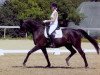 dressage horse Anjoli 2 (Hessian Warmblood, 2003, from Angard)