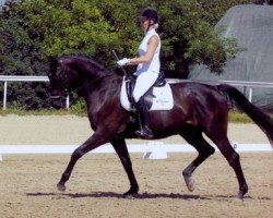 dressage horse Anjoli 2 (Hessian Warmblood, 2003, from Angard)