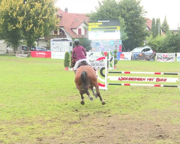 Reitturnier Langenthal 2019