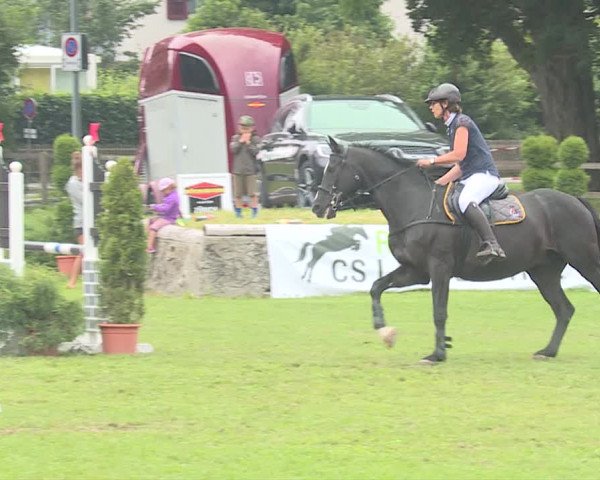 Reitturnier Langenthal 2019