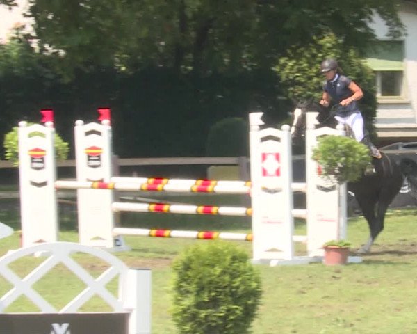 Reitturnier Langenthal 2019