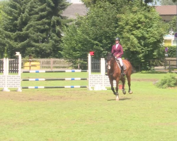 Reitturnier Langenthal 2019