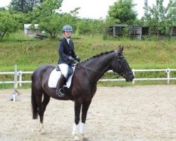 dressage horse Ronja 1623 (Hessian Warmblood, 1999, from Rubin Star N)