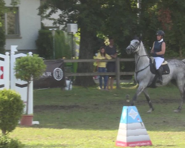 Reitturnier Langenthal 2019