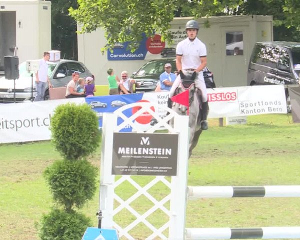 Reitturnier Langenthal 2019