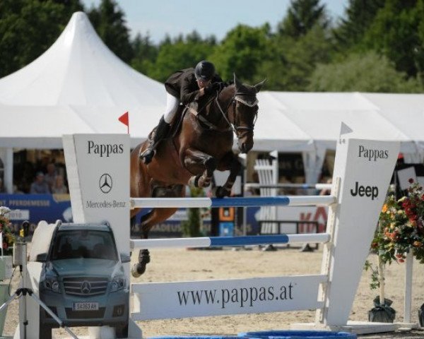 jumper Lynx du Reverdy (Selle Français, 1999, from Denard)