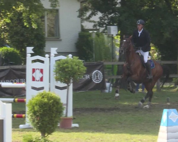 Reitturnier Langenthal 2019
