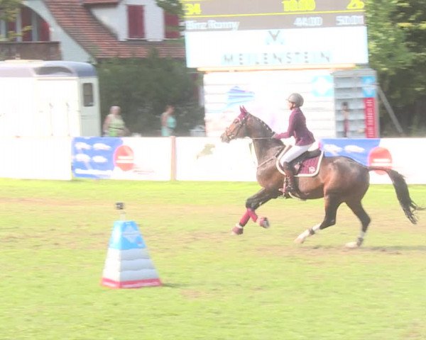 Reitturnier Langenthal 2019