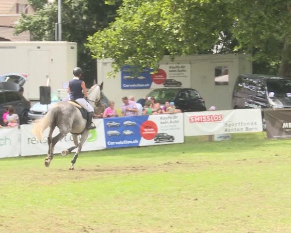 Reitturnier Langenthal 2019