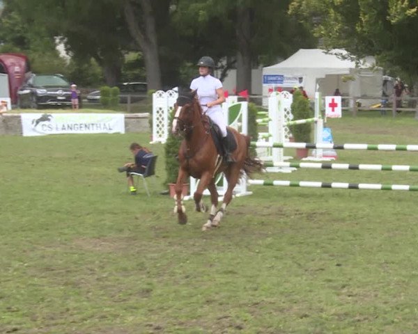 Reitturnier Langenthal 2019