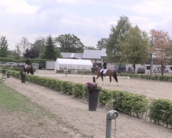 Reitturnier Olfen-Vinnum 2019