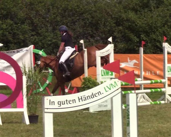 Reitturnier Sollerup 2019