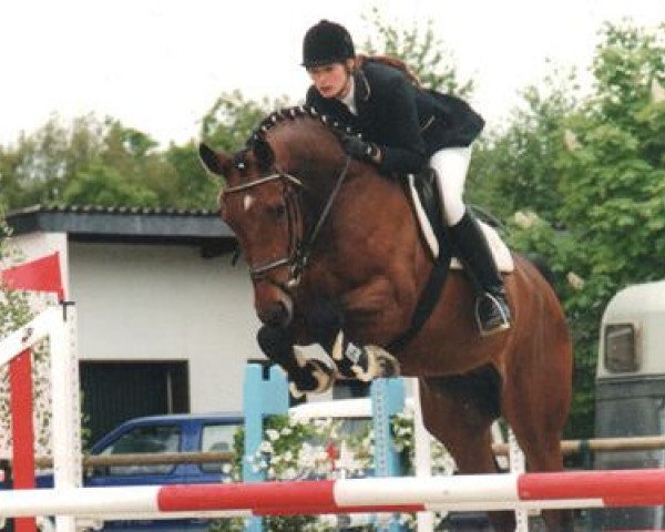 Pferd Pirus Z (Zangersheide Reitpferd, 1996, von Pucci)