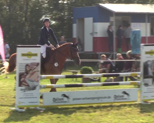 Reitturnier Sollerup 2019