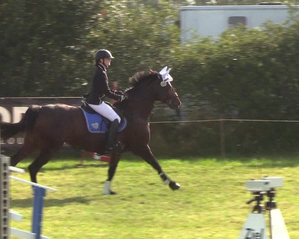 Reitturnier Sollerup 2019