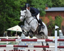 jumper Delvecchio (KWPN (Royal Dutch Sporthorse), 2008, from Zirocco Blue)