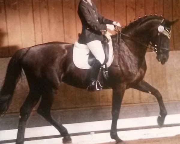 broodmare Winnipeg 220 (Württemberger, 1995, from Weltruhm)