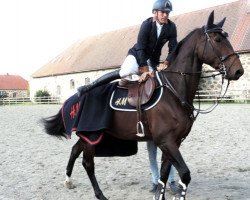 Springpferd Uncle Blue (Schwedisches Warmblut, 2008, von Chacco-Blue)