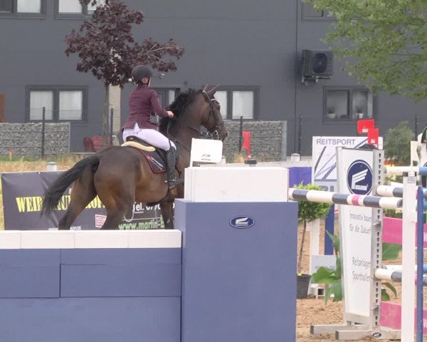 Reitturnier Jagstzell 2019