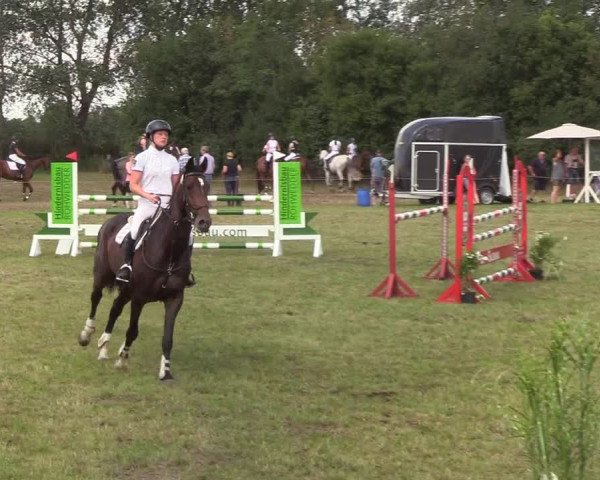 Reitturnier Sollerup 2019