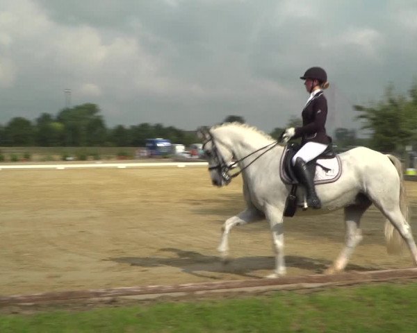 Reitturnier Neuss-Uedesheim 2019