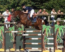 broodmare Nierba de Cartigny (Selle Français, 2001, from Scherif d'Elle)