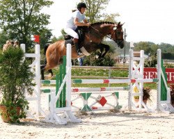 jumper Tango de L'Eguille (New Forest Pony, 2007, from Joker 546)