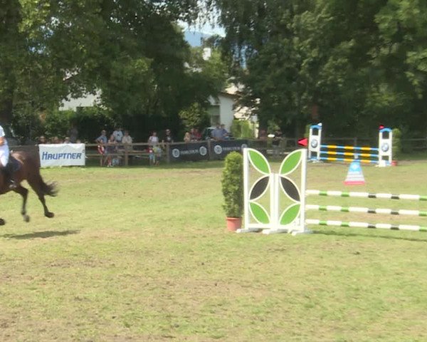 Reitturnier Langenthal 2019