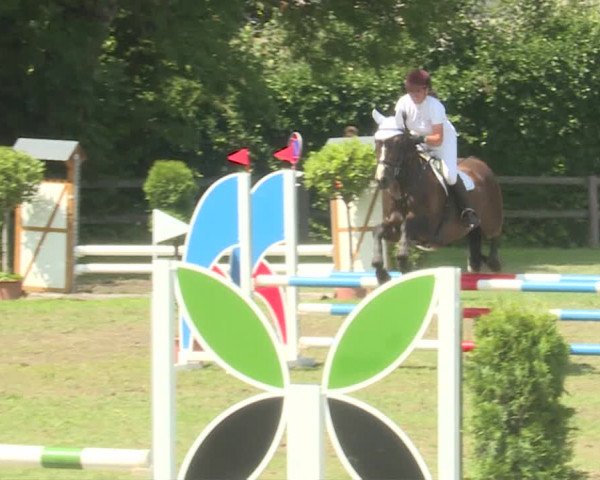 Reitturnier Langenthal 2019