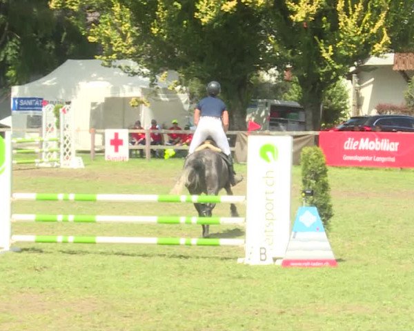 Reitturnier Langenthal 2019