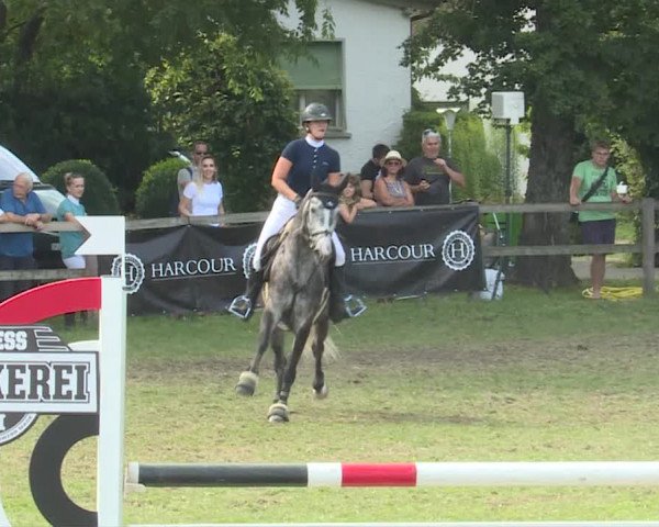 Reitturnier Langenthal 2019