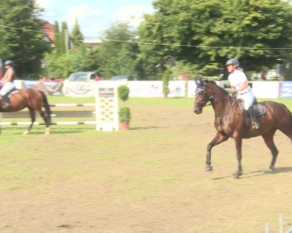 Reitturnier Langenthal 2019