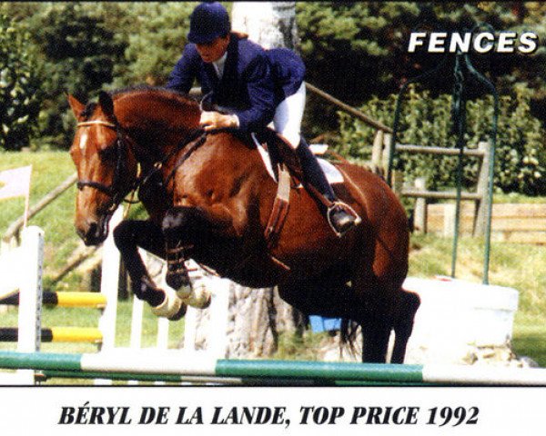 Deckhengst Béryl de la Lande (Selle Français, 1989, von Elf III)