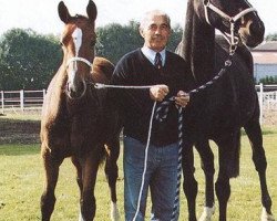 broodmare Gerbe d'Or (Selle Français, 1972, from Starter)