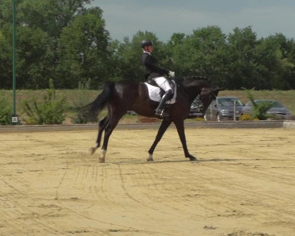 Reitturnier Neuss-Uedesheim 2019