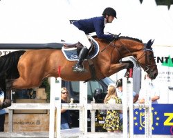 jumper Anoush du Chesnay (Selle Français, 2010, from Jarnac)