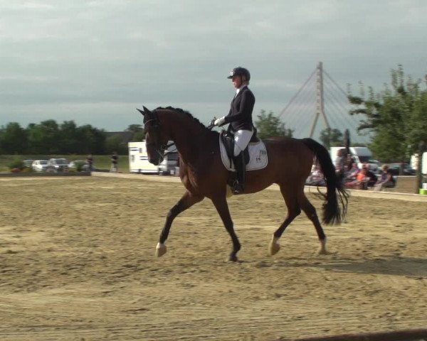 Reitturnier Neuss-Uedesheim 2019